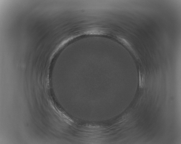 X0000080190531200612152016