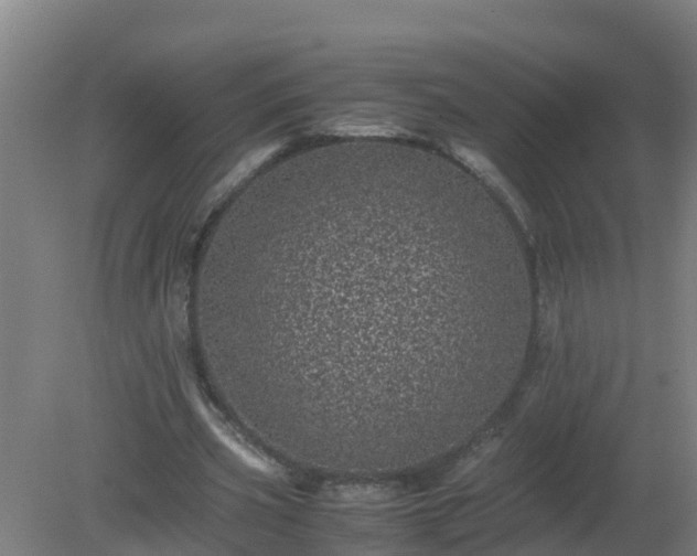 X0000080190533200612152017