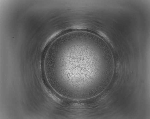 X0000080190535200612152017
