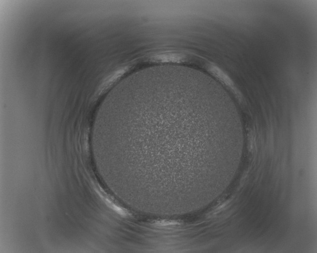 X0000080190537200612152017