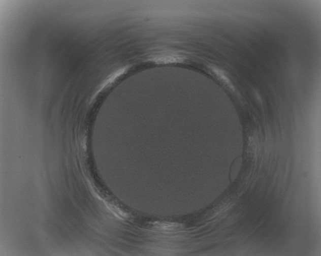 X0000080190539200612152017