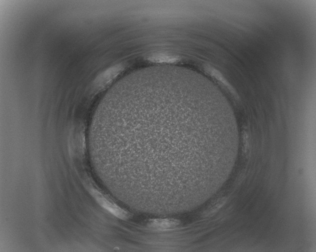 X0000080190541200612152017