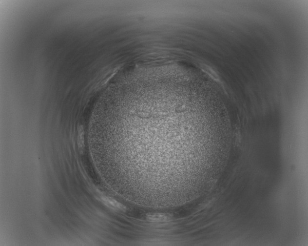 X0000080190549200612152017
