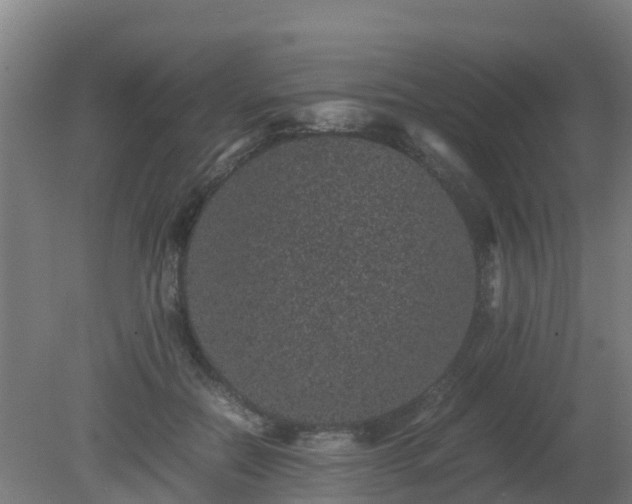 X0000080190554200612152017