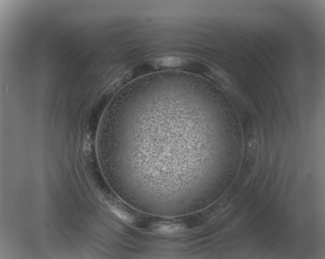 X0000080190555200612152017