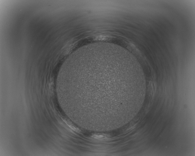 X0000080190557200612152017