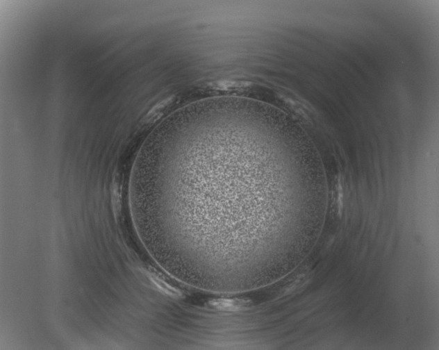 X0000080190558200612152017