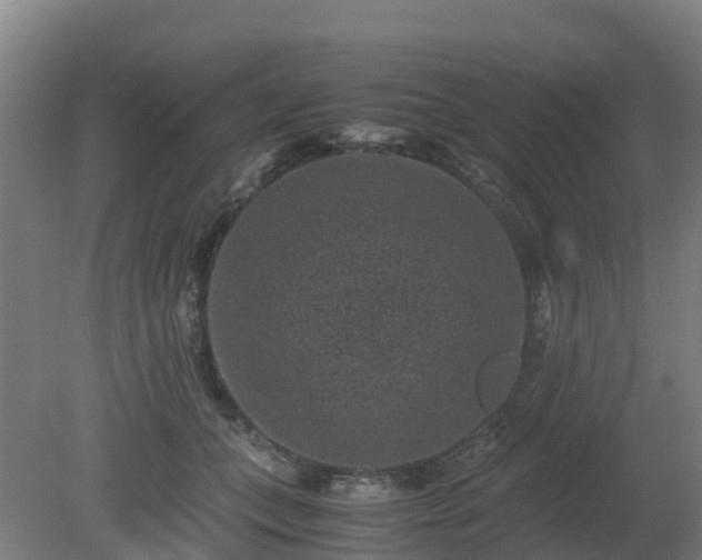 X0000080190559200612152017