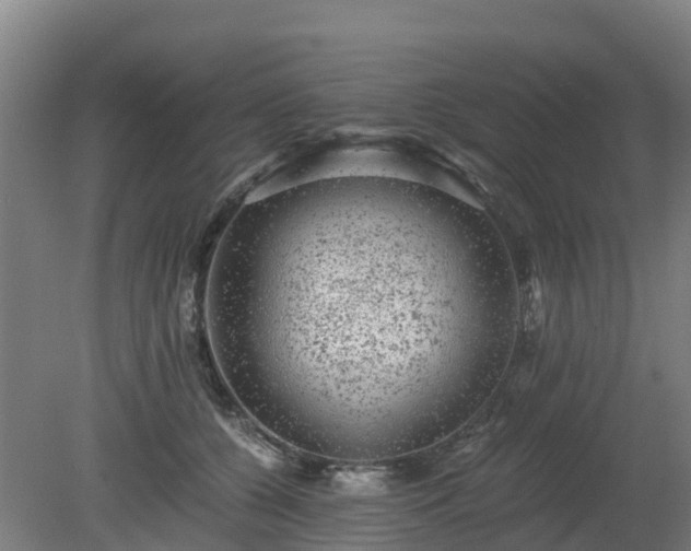 X0000080190560200612152017