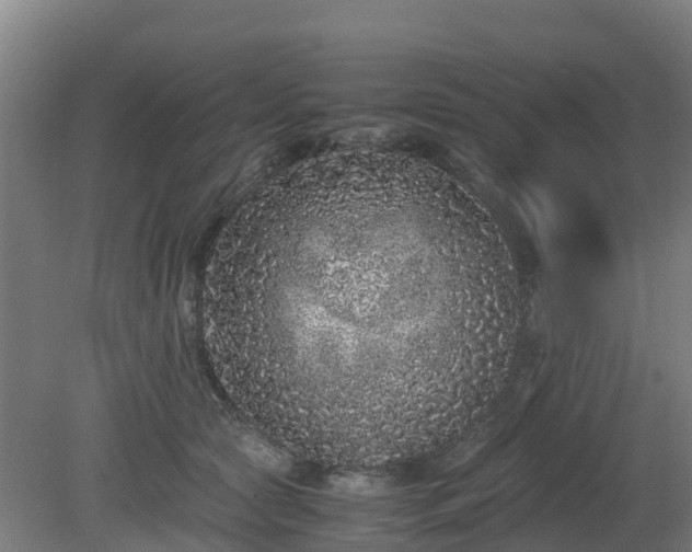X0000080190561200612152017