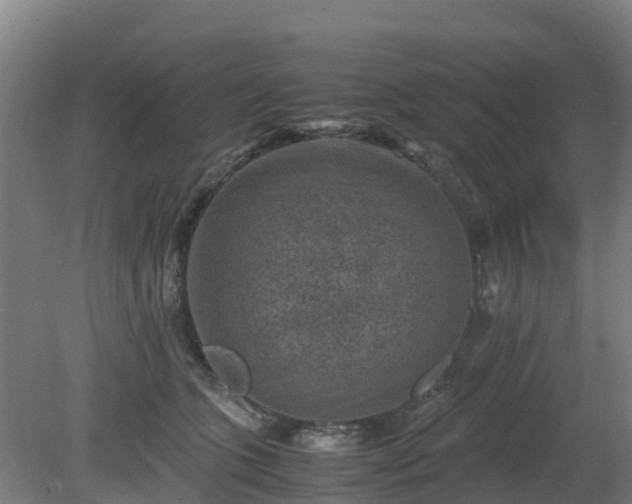 X0000080190563200612152017