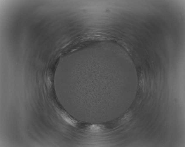 X0000080190566200612152017