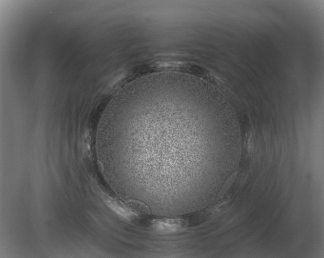 X0000080190567200612152017