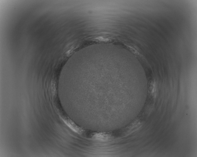 X0000080190568200612152017