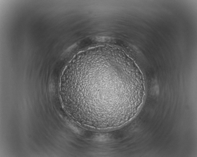 X0000080190569200612152017