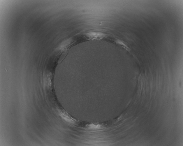 X0000080190570200612152017
