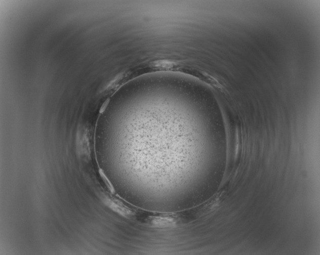X0000080190572200612152017