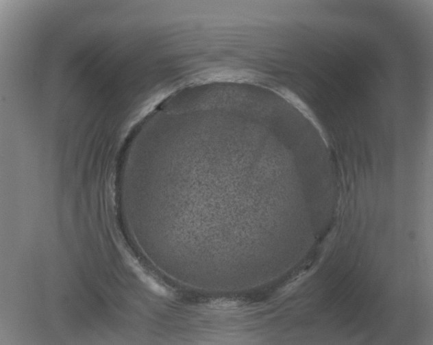 X0000080190581200612152016