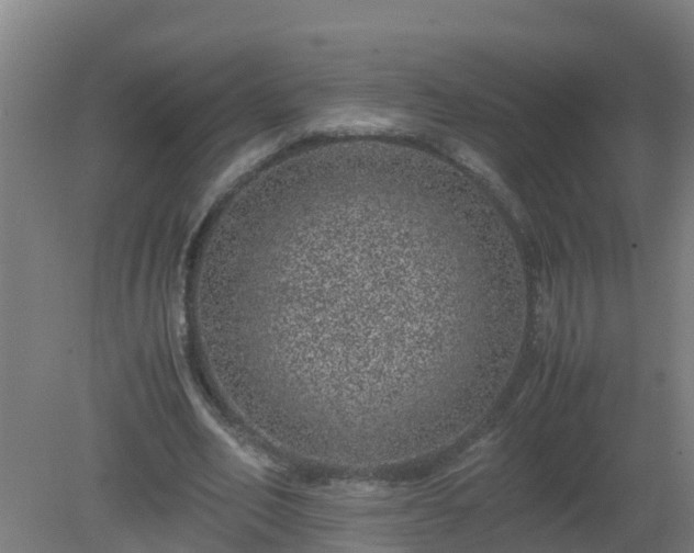 X0000080190582200612152016