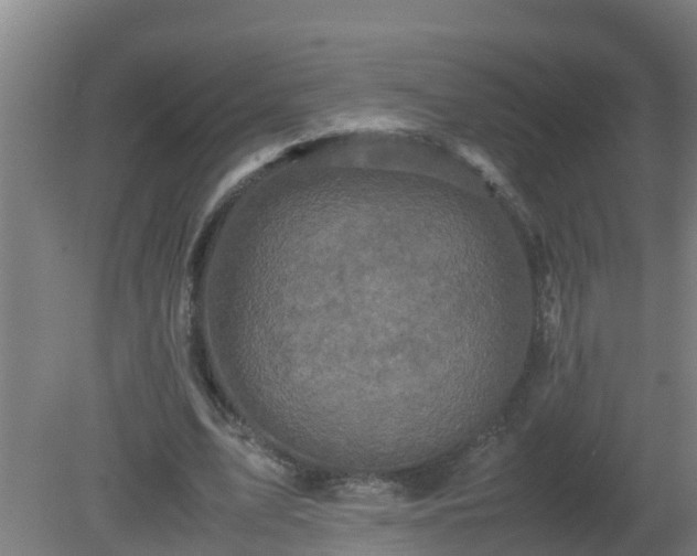 X0000080190583200612152016