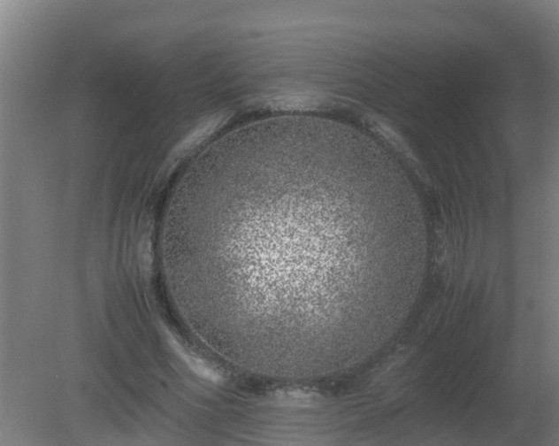 X0000080190586200612152016