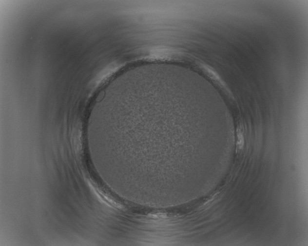 X0000080190588200612152016