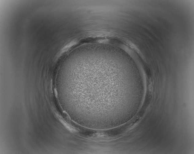 X0000080190589200612152016