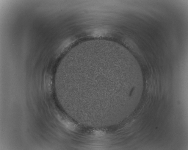 X0000080190592200612152016