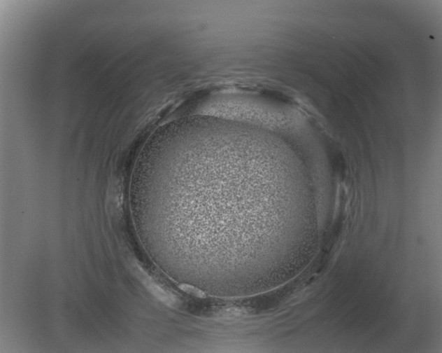 X0000080190593200612152016