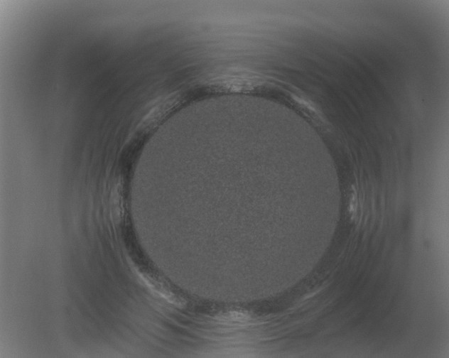 X0000080190594200612152016