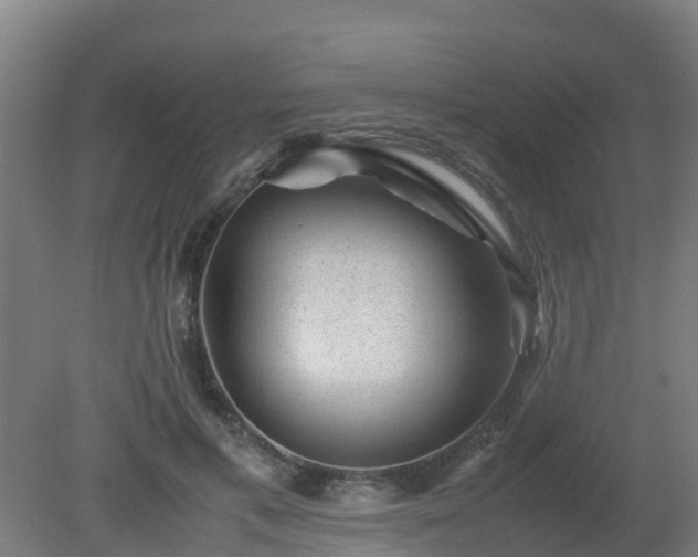 X0000080190597200612152016
