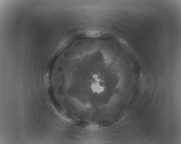 X0000080190598200612152016