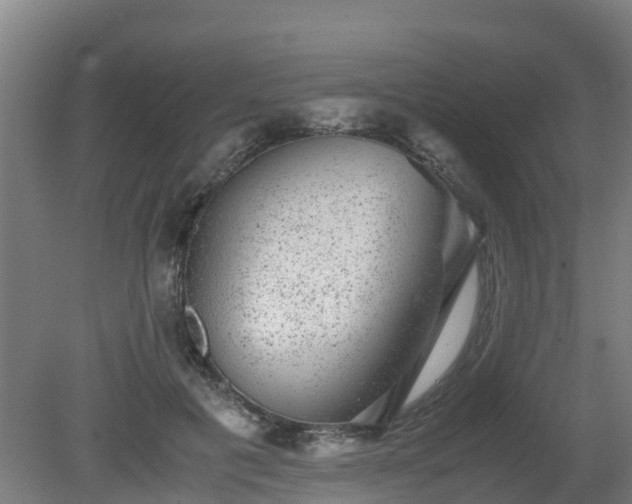 X0000080190601200612152016
