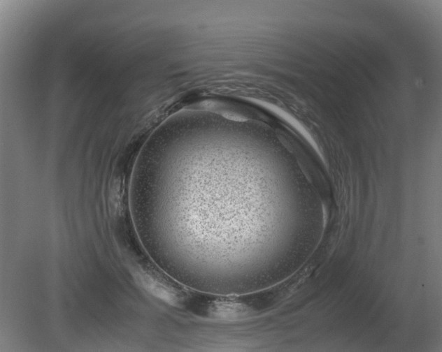X0000080190605200612152016