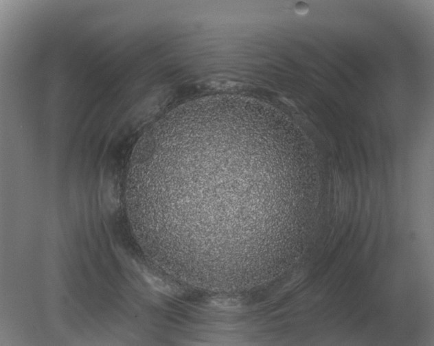 X0000080190606200612152016