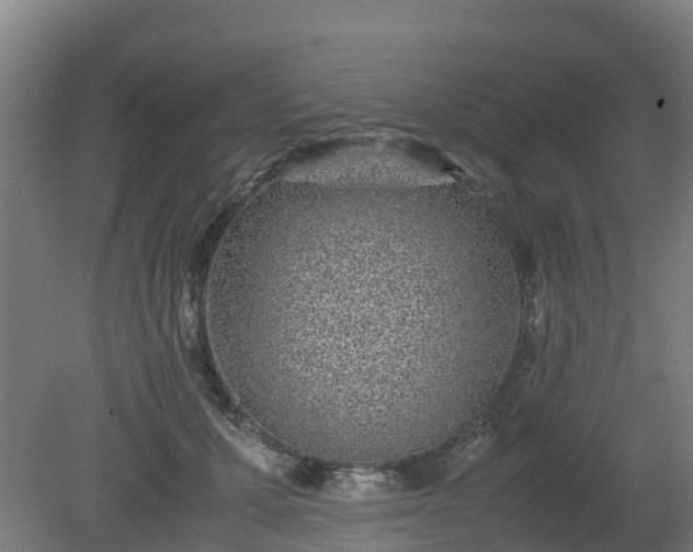 X0000080190607200612152016