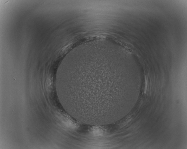 X0000080190608200612152016