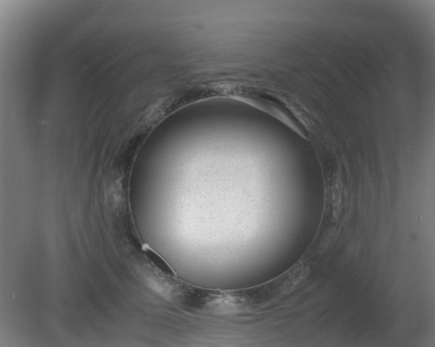 X0000080190611200612152016