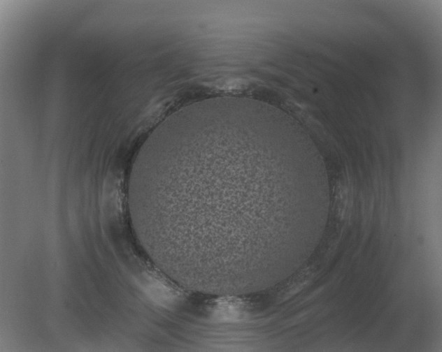 X0000080190612200612152016