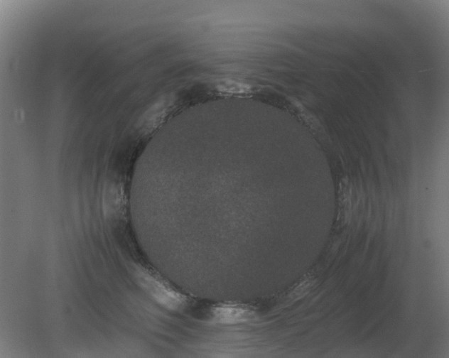 X0000080190614200612152016