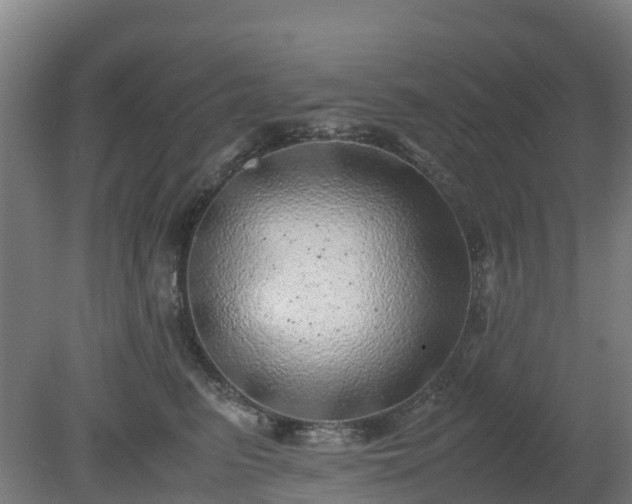 X0000080190615200612152016