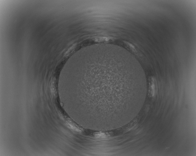 X0000080190616200612152016