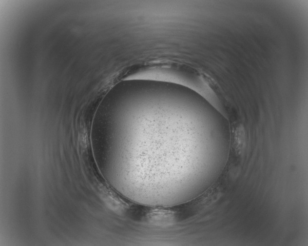X0000080190617200612152016