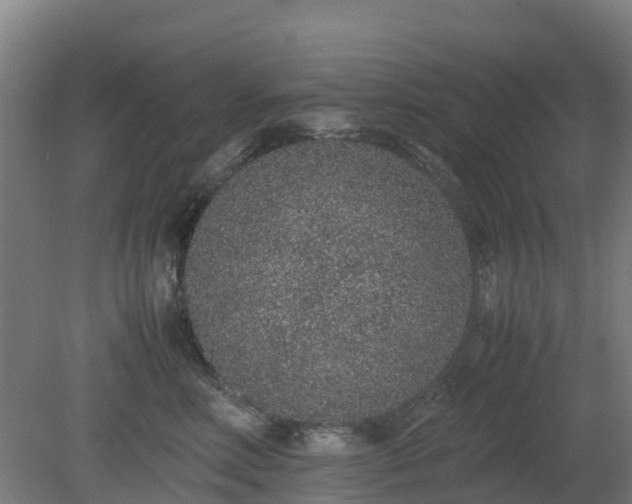X0000080190618200612152016