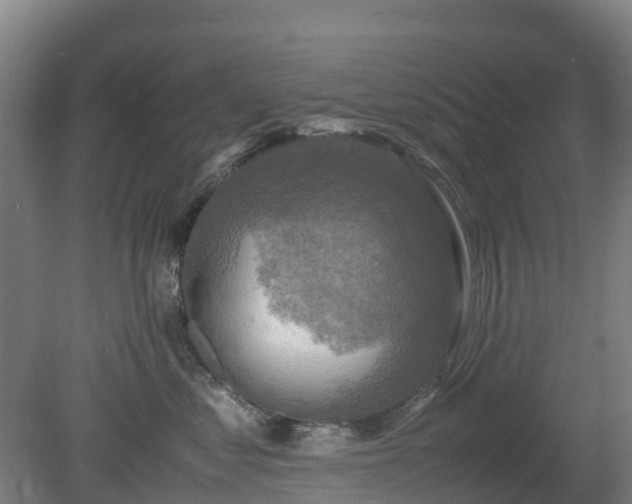 X0000080190621200612152016