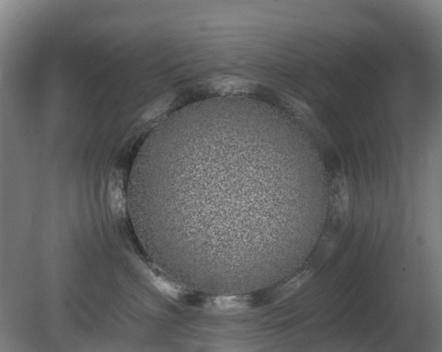 X0000080190622200612152016