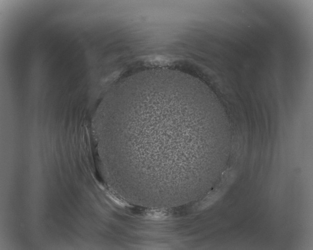 X0000080190624200612152016