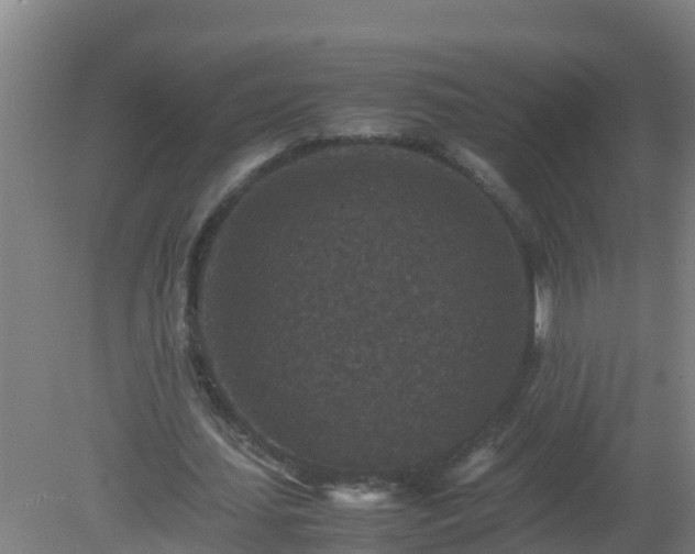 X0000080190627200612152015