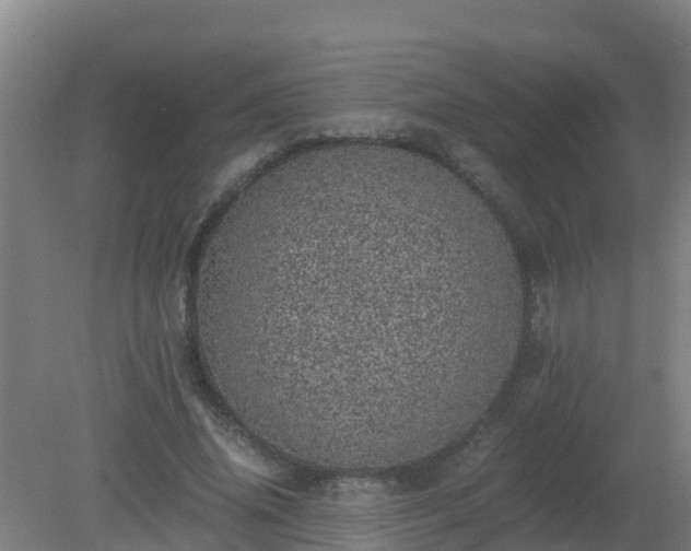 X0000080190636200612152015