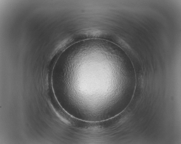 X0000080190638200612152015